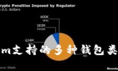 Tokenim支持的多种钱包类型解析