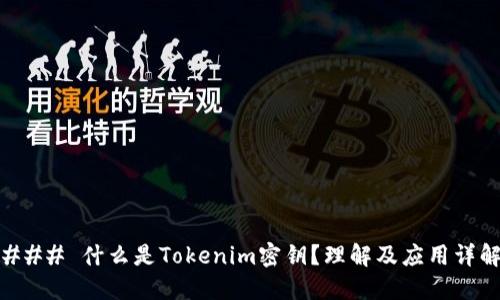 ### 什么是Tokenim密钥？理解及应用详解