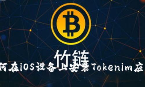 如何在iOS设备上安装Tokenim应用？
