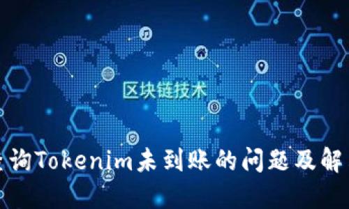如何查询Tokenim未到账的问题及解决方案