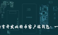 如何使用VB语言开发比特币客户端钱包: 一步一步