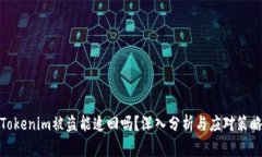 Tokenim被盗能追回吗？深入分析与应对策略