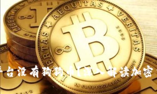 为什么Tokenim平台没有狗狗币？深入解读加密货币的上市与交易