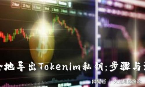 如何安全地导出Tokenim私钥：步骤与注意事项