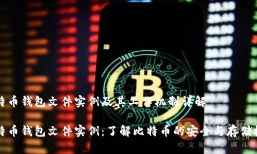 比特币钱包文件实例及其工作机制详解

比特币钱包文件实例：了解比特币的安全与存储机制