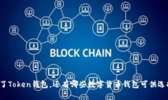 除了Token钱包，还有哪些数字货币钱包可供选择？