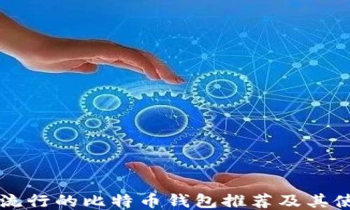 
中国最流行的比特币钱包推荐及其使用指南