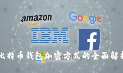 比特币钱包加密方式的全面解析